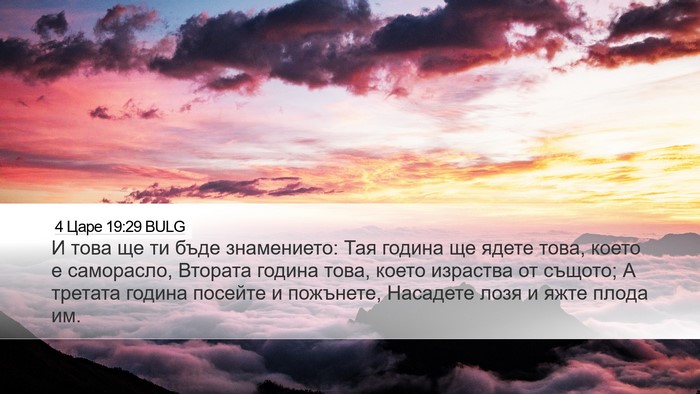 4 Царе 19:29 BULG Bible Verse Image