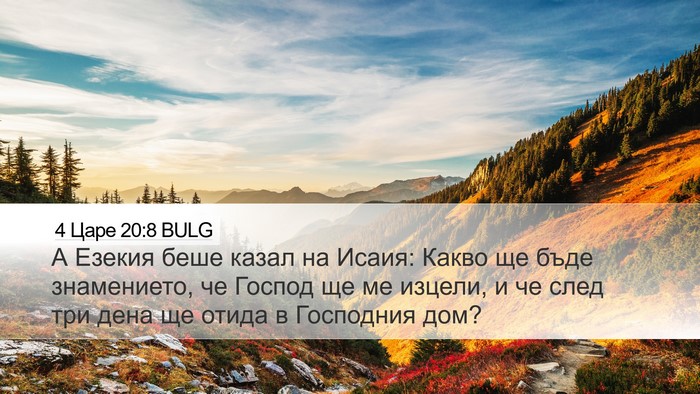 4 Царе 20:8 BULG Bible Verse Image