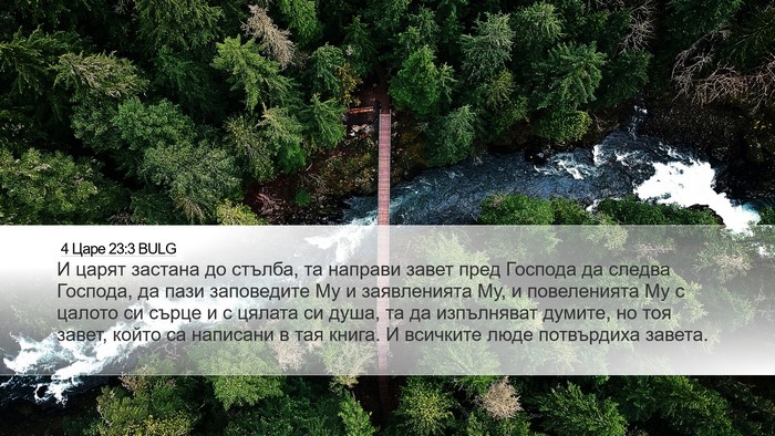 4 Царе 23:3 BULG Bible Verse Image
