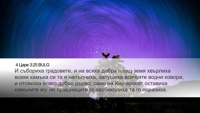 4 Царе 3:25 BULG Bible Verse Image