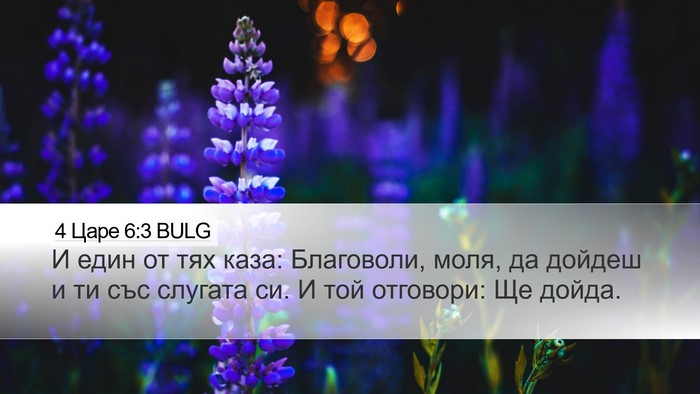4 Царе 6:3 BULG Desktop Wallpaper - И един от тях каза: - Desktop Bible Verse Wallpaper