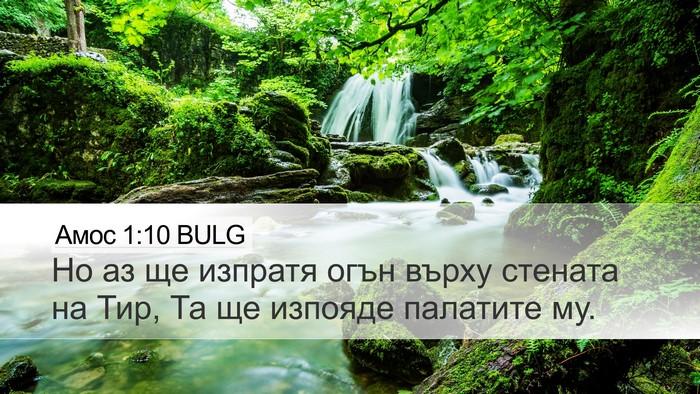 Амос 1:10 BULG Bible Verse Image
