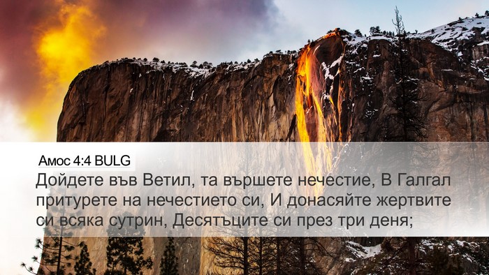 Амос 4:4 BULG Bible Verse Image