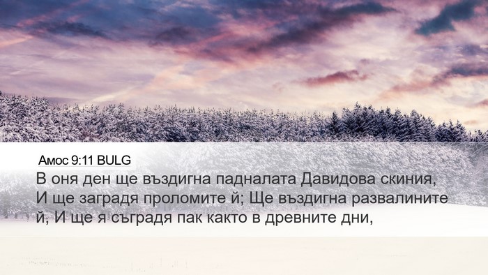 Амос 9:11 BULG Bible Verse Image
