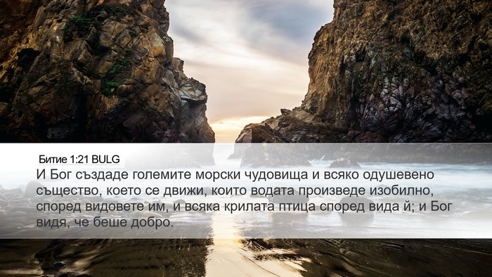 Битие 1:21 BULG Bible Verse Image
