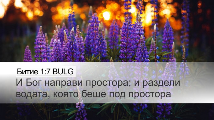 Битие 1:7 BULG Bible Verse Image