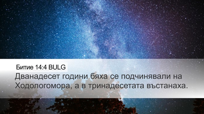 Битие 14:4 BULG Desktop Wallpaper - Дванадесет години бяха се - Desktop Bible Verse Wallpaper