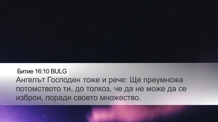 Битие 16:10 BULG Bible Verse Image