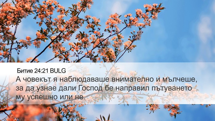 Битие 24:21 BULG Desktop Wallpaper - А човекът я наблюдаваше - Desktop Bible Verse Wallpaper