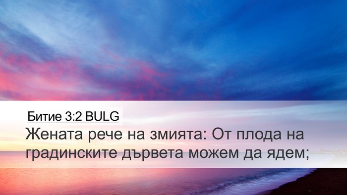 Битие 3:2 BULG Desktop Wallpaper - Жената рече на змията: От - Desktop Bible Verse Wallpaper