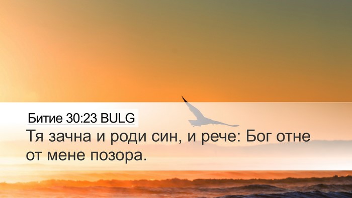 Битие 30:23 BULG Desktop Wallpaper - Тя зачна и роди син, и рече: - Desktop Bible Verse Wallpaper