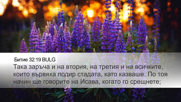 Битие 32:19 BULG Desktop Wallpaper - Така заръча и на втория, на - Desktop Bible Verse Wallpaper