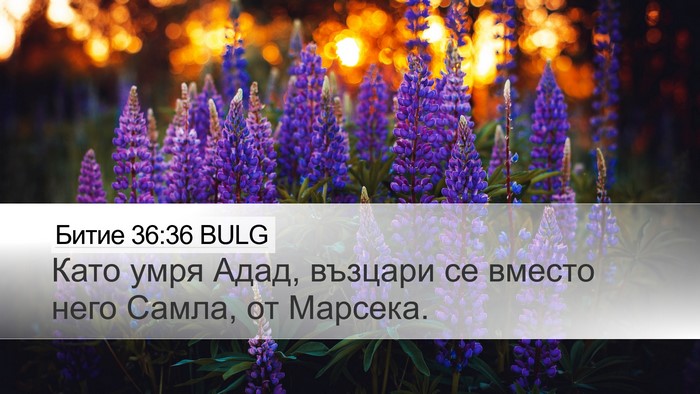 Битие 36:36 BULG Desktop Wallpaper - Като умря Адад, възцари се - Desktop Bible Verse Wallpaper