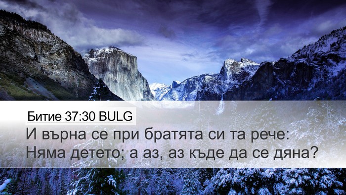 Битие 37:30 BULG Bible Verse Image