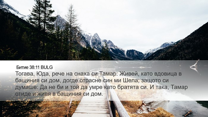 Битие 38:11 BULG Bible Verse Image