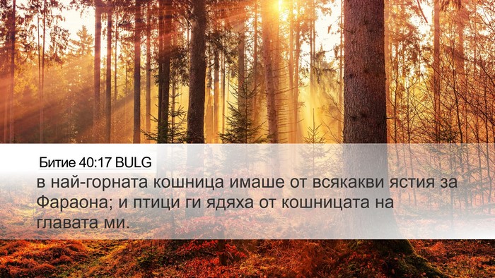 Битие 40:17 BULG Desktop Wallpaper - в най-горната кошница - Desktop Bible Verse Wallpaper