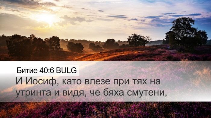 Битие 40:6 BULG Desktop Wallpaper - И Иосиф, като влезе при тях - Desktop Bible Verse Wallpaper