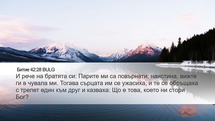 Битие 42:28 BULG Bible Verse Image
