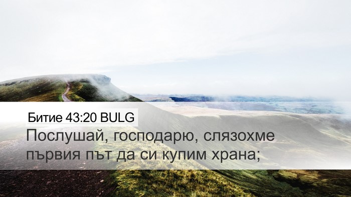 Битие 43:20 BULG Bible Verse Image