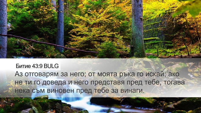Битие 43:9 BULG Bible Verse Image
