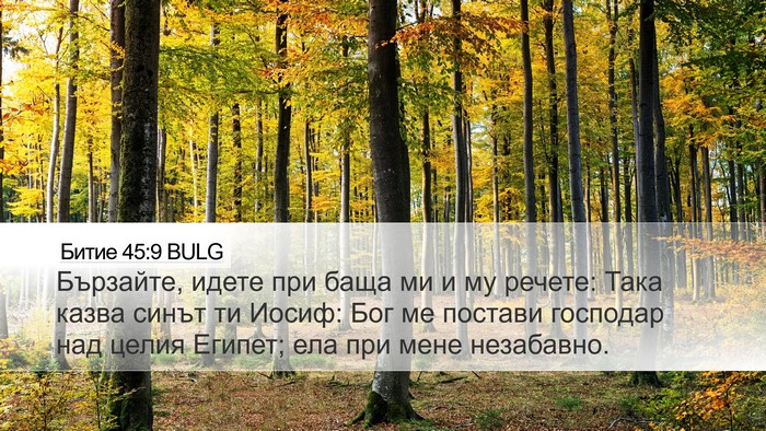 Битие 45:9 BULG Bible Verse Image