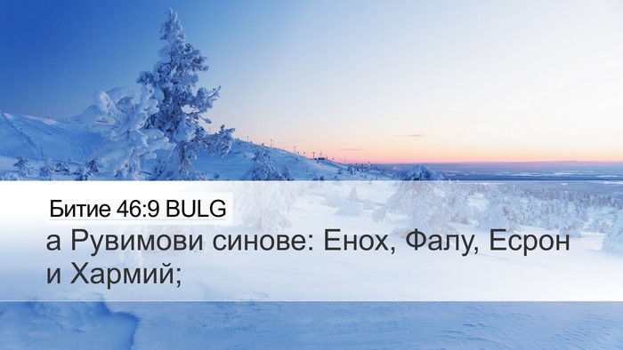 Битие 46:9 BULG Bible Verse Image