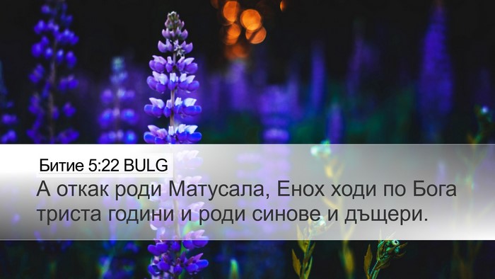 Битие 5:22 BULG Bible Verse Image
