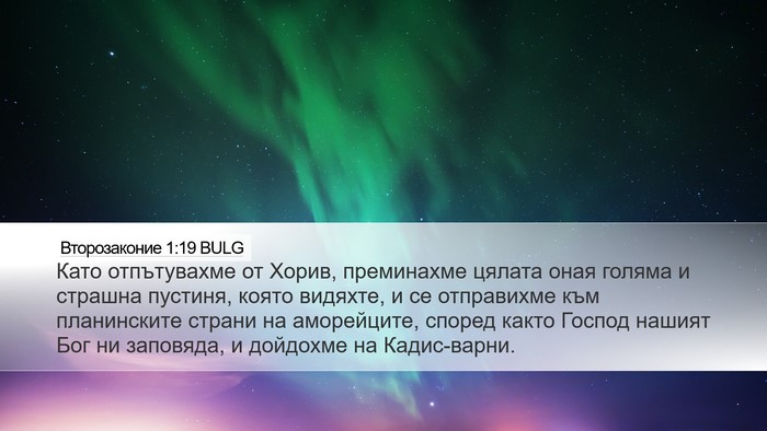 Второзаконие 1:19 BULG Bible Verse Image