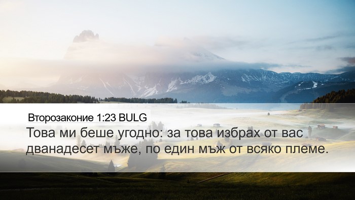 Второзаконие 1:23 BULG Bible Verse Image