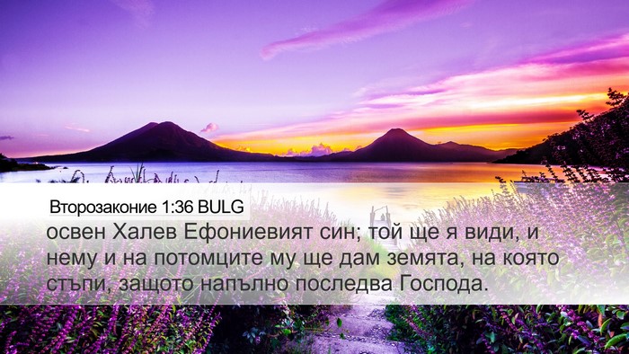 Второзаконие 1:36 BULG Bible Verse Image