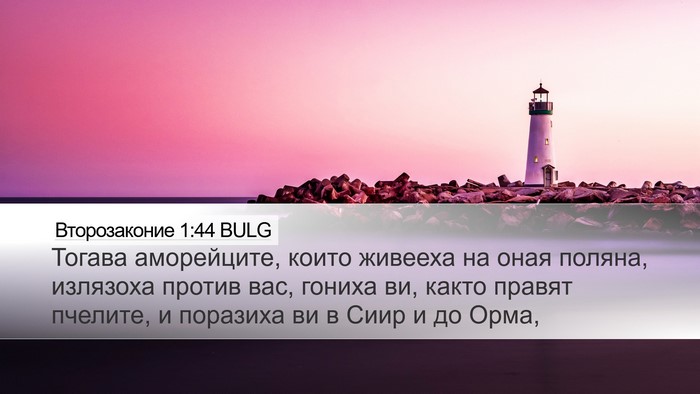 Второзаконие 1:44 BULG Bible Verse Image