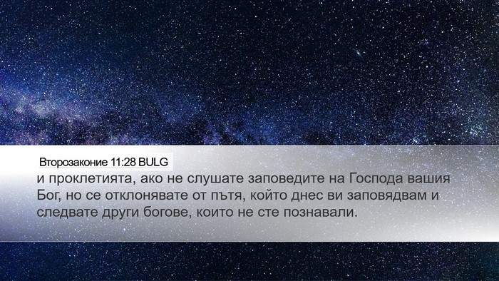 Второзаконие 11:28 BULG Bible Verse Image