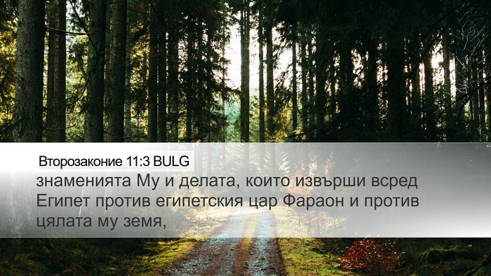 Второзаконие 11:3 BULG Desktop Wallpaper - знаменията Му и делата, - Desktop Bible Verse Wallpaper