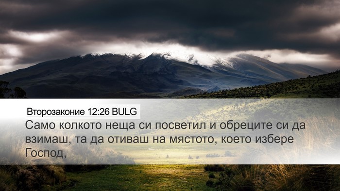 Второзаконие 12:26 BULG Bible Verse Image