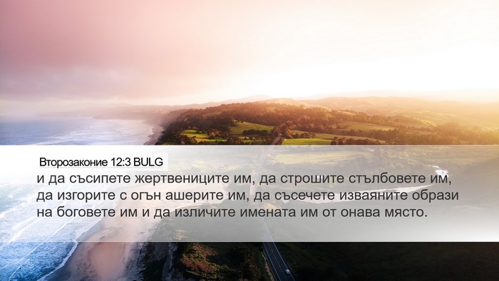 Второзаконие 12:3 BULG Bible Verse Image