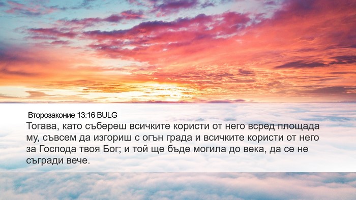 Второзаконие 13:16 BULG Bible Verse Image