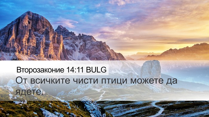 Второзаконие 14:11 BULG Desktop Wallpaper - От всичките чисти птици - Desktop Bible Verse Wallpaper