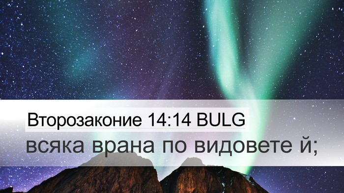 Второзаконие 14:14 BULG Desktop Wallpaper - всяка врана по видовете - Desktop Bible Verse Wallpaper