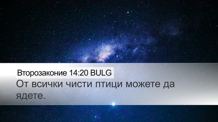 Второзаконие 14:20 BULG Desktop Wallpaper - От всички чисти птици - Desktop Bible Verse Wallpaper