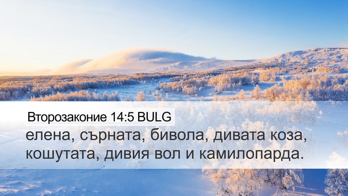 Второзаконие 14:5 BULG Bible Verse Image