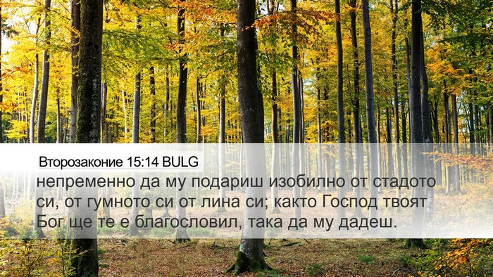 Второзаконие 15:14 BULG Desktop Wallpaper - непременно да му подариш - Desktop Bible Verse Wallpaper