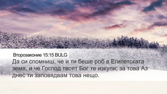 Второзаконие 15:15 BULG Bible Verse Image