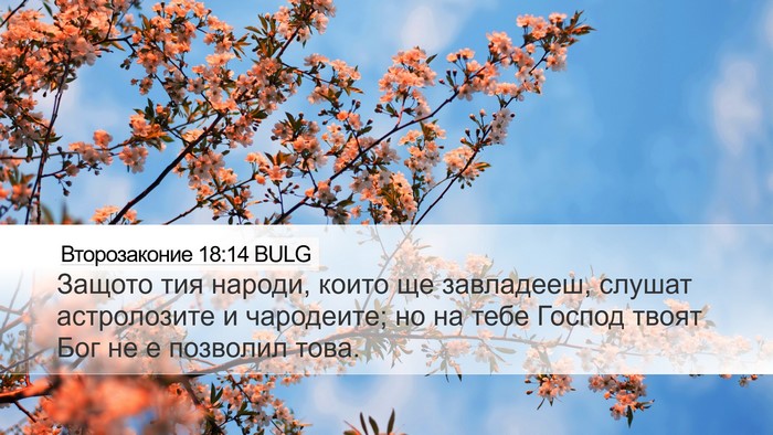 Второзаконие 18:14 BULG Desktop Wallpaper - Защото тия народи, които ще - Desktop Bible Verse Wallpaper