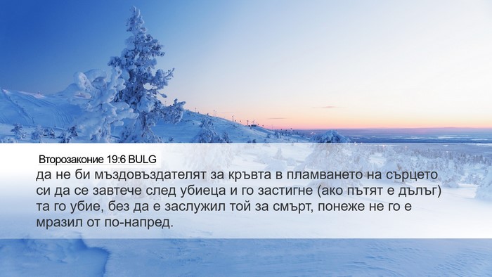 Второзаконие 19:6 BULG Bible Verse Image