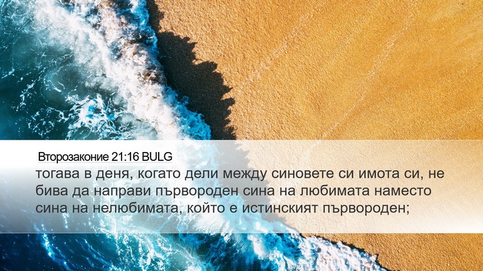 Второзаконие 21:16 BULG Bible Verse Image