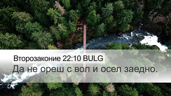 Второзаконие 22:10 BULG Desktop Wallpaper - Да не ореш с вол и осел - Desktop Bible Verse Wallpaper