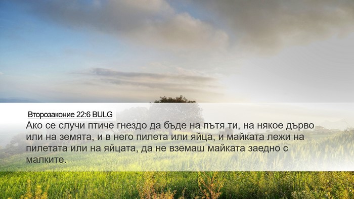 Второзаконие 22:6 BULG Desktop Wallpaper - Ако се случи птиче гнездо - Desktop Bible Verse Wallpaper