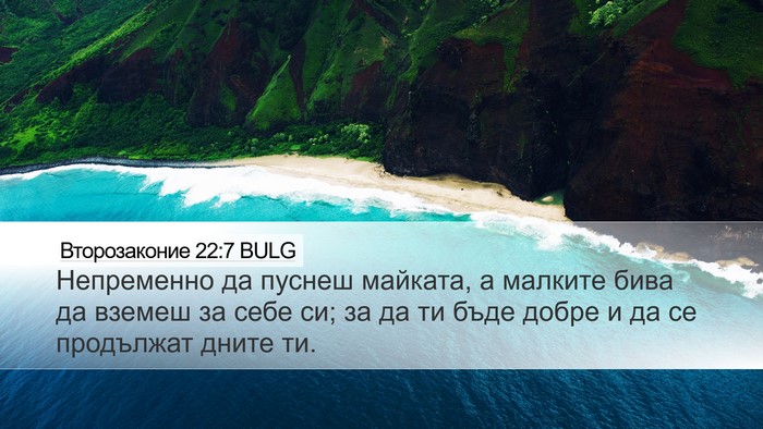 Второзаконие 22:7 BULG Desktop Wallpaper - Непременно да пуснеш - Desktop Bible Verse Wallpaper