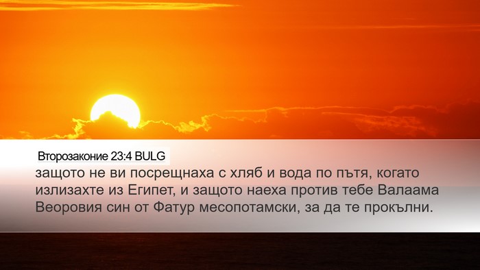 Второзаконие 23:4 BULG Bible Verse Image