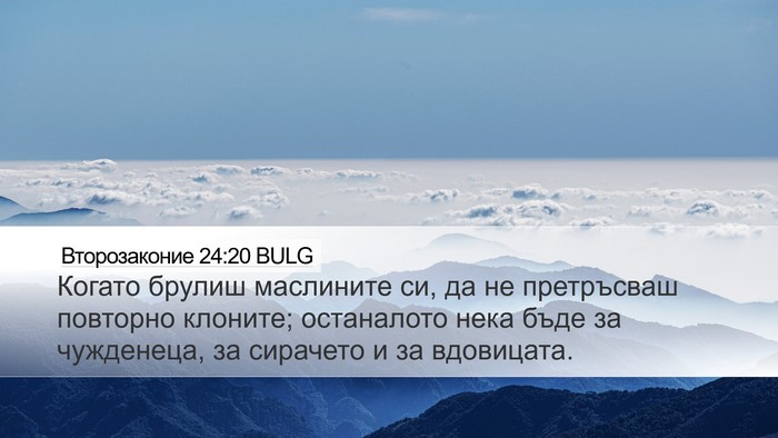 Второзаконие 24:20 BULG Desktop Wallpaper - Когато брулиш маслините - Desktop Bible Verse Wallpaper